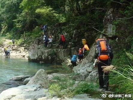 杭州女老师旅游归来，眼睛里藏进一条虫！长了8只脚不停吸血