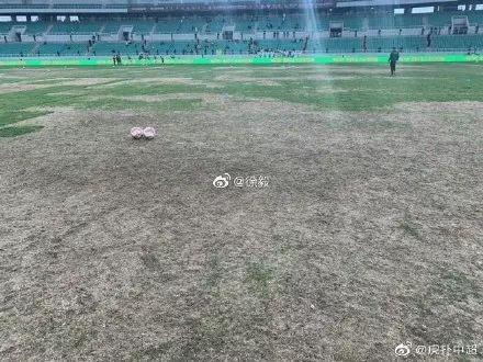 王思聪电竞队成员花300万买鞋，几年前还只是名网管 | 10件事