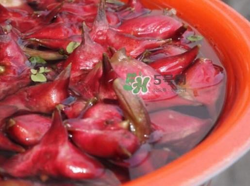 红菱什么时候上市？什么时候采红菱
