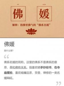 ​央视网：这群佛媛真是欲壑难填