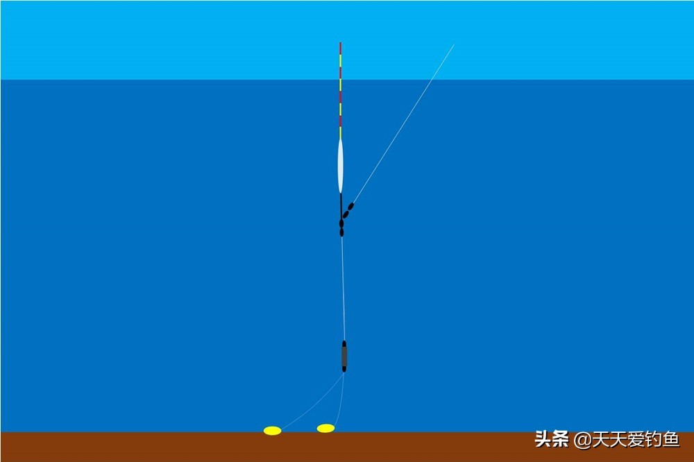 黑坑钓青鱼怎么调漂视频（钓青鱼调漂的正确方法）