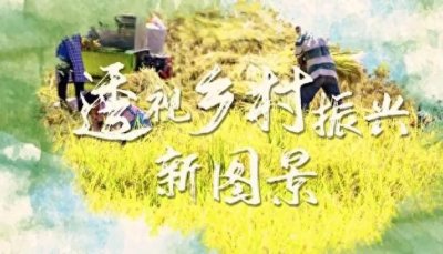 ​多途径打造乡村振兴新引擎