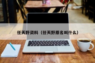 ​任天野资料（任天野原名叫什么）