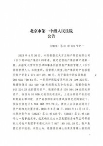 ​宣告北大方正物产集团有限公司破产