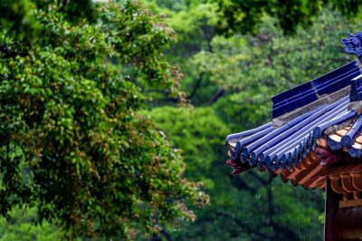 ​高清大图来袭！这些“最美校花”全都来自中山大学，美出新高度