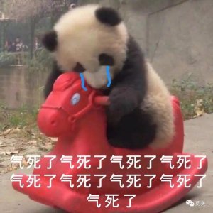 ​刘亦菲又现死亡自拍 鞠婧祎视频暴露身高可却比天仙都美