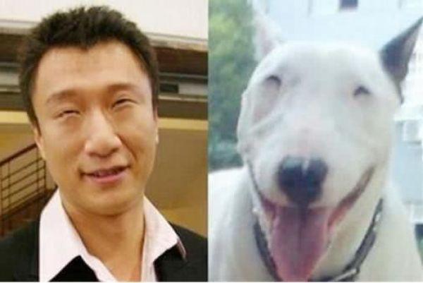孙红雷老婆（小15岁娇妻绑丸子头可爱）