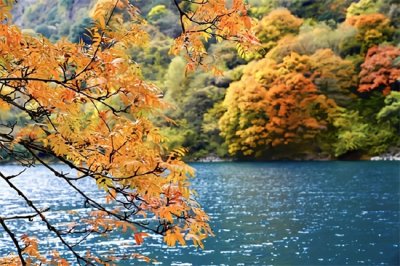 ​松坪沟旅游攻略（川西赏秋最佳指南——松坪沟）