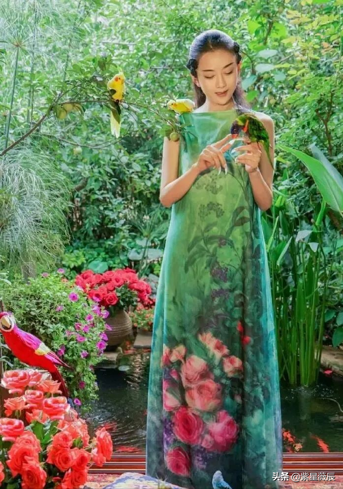 杨丽萍：30年不吃米饭，60年不要孩子，为了舞蹈放弃两段爱情