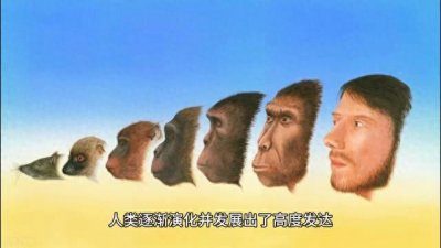 ​地球生命进化史