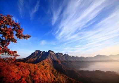 ​明天！巴中这些景区景点免费开放