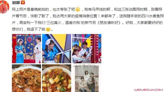 谢娜否认怀二胎