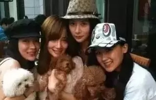 泰迪假脸姐妹团是什么意思(泰迪姐妹团现状9位成员境况悬殊)