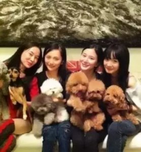 泰迪假脸姐妹团是什么意思(泰迪姐妹团现状9位成员境况悬殊)