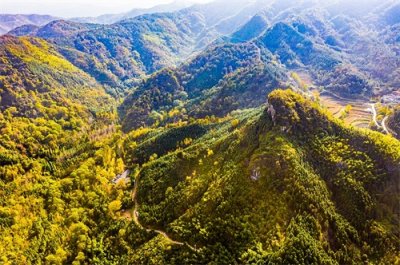 ​“山大王”资产高达一个亿，这是真的吗？他笑着扳指头算了一笔账