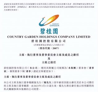 ​突发！中国女首富杨惠妍接任碧桂园主席
