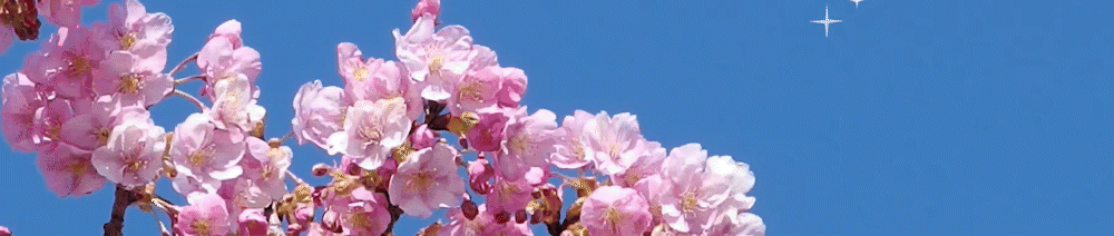 “狂野富少”李宗瑞:93段视频,176张照片27.5G,“毁”60位艺人