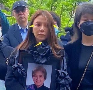 央视主持人朱迅:从艰难岁月到公益人生的坚韧旅程