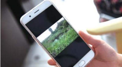 李文星传销案不是个例,亲身经历警告所有人都要引以为戒