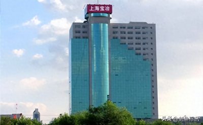 ​上海宝冶集团再揽99亿大单 雄踞建筑市场巅峰