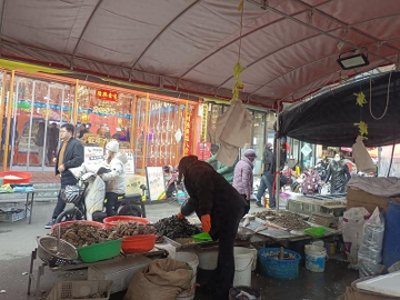 ​烟台海虹大量上市，草莓等水果价格回落！