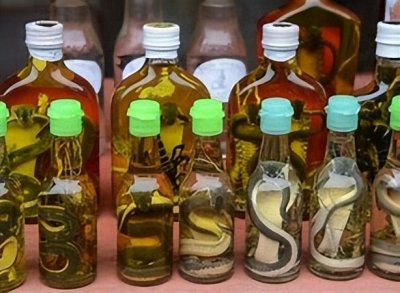 ​以蛇泡酒要鲜活的？60岁老汉为治疗腰疼抓蛇泡酒，获刑一年四个月