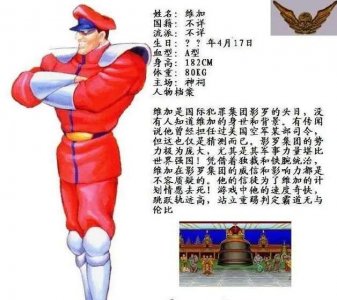 ​街头霸王人物档案：满满的童年和感动