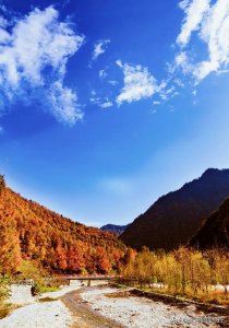 ​秦岭高江公路，全长39公里，堪称是一道独特的山区风景线
