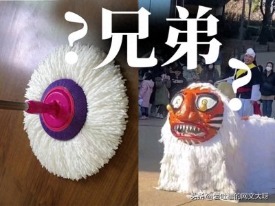 笑麻了!‘韩国舞狮PK中国舞狮!’评论区:确定不是拖把成精?