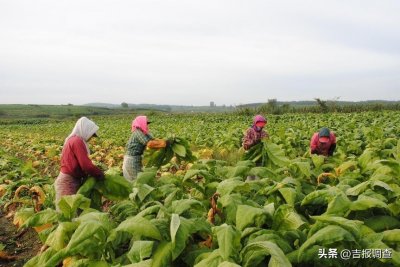 回望这十年,小镇满眼新!辉南县辉南镇发生了翻天覆地的变化