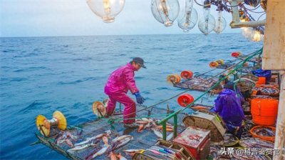 公海不归任何国家管,那在公海杀人犯法吗?真实案例告诉你答案