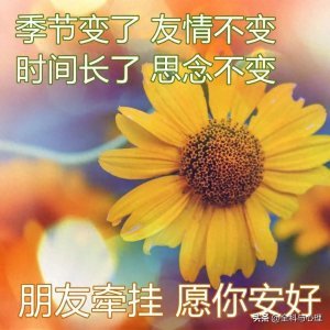 最新早上好问候语精选大全,问候情谊好, 天天都美好