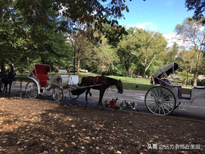纽约地标,第五大道