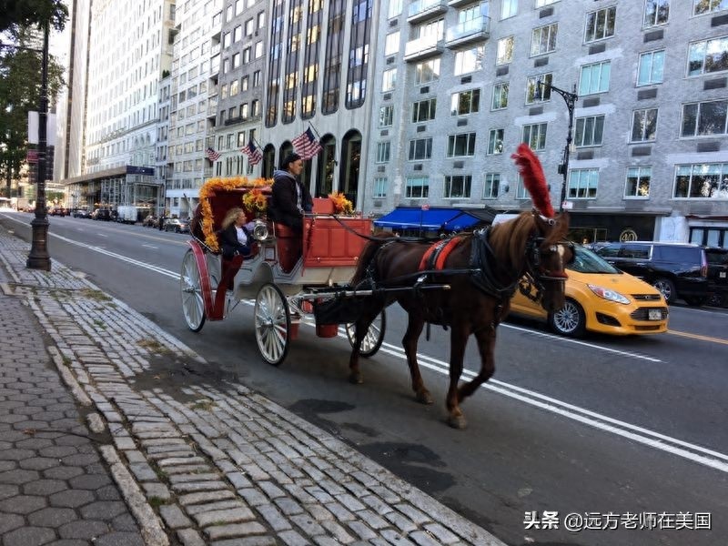 纽约地标,第五大道