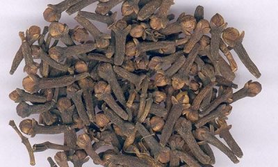 丁香什么功效和作用,丁香的药用价值和功效禁忌效