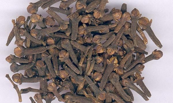 丁香的药用价值和功效禁忌效