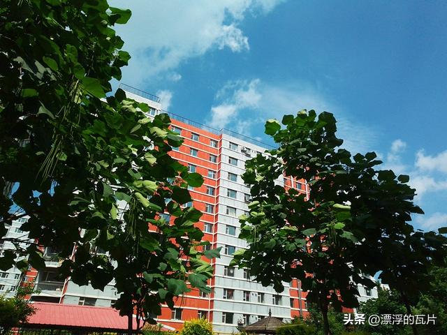 乐视y2pro详细配置（799元的iPhone）(24)