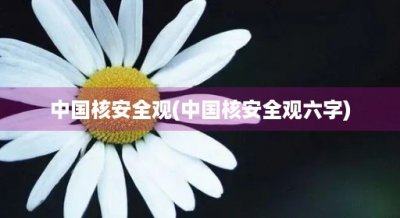 ​中国核安全观(中国核安全观六字)