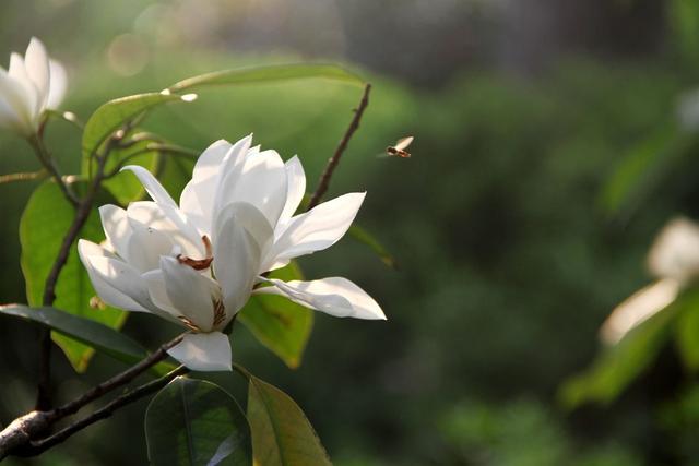 高考考生被录取后遭退档（高考录取被退档怎么办）(3)