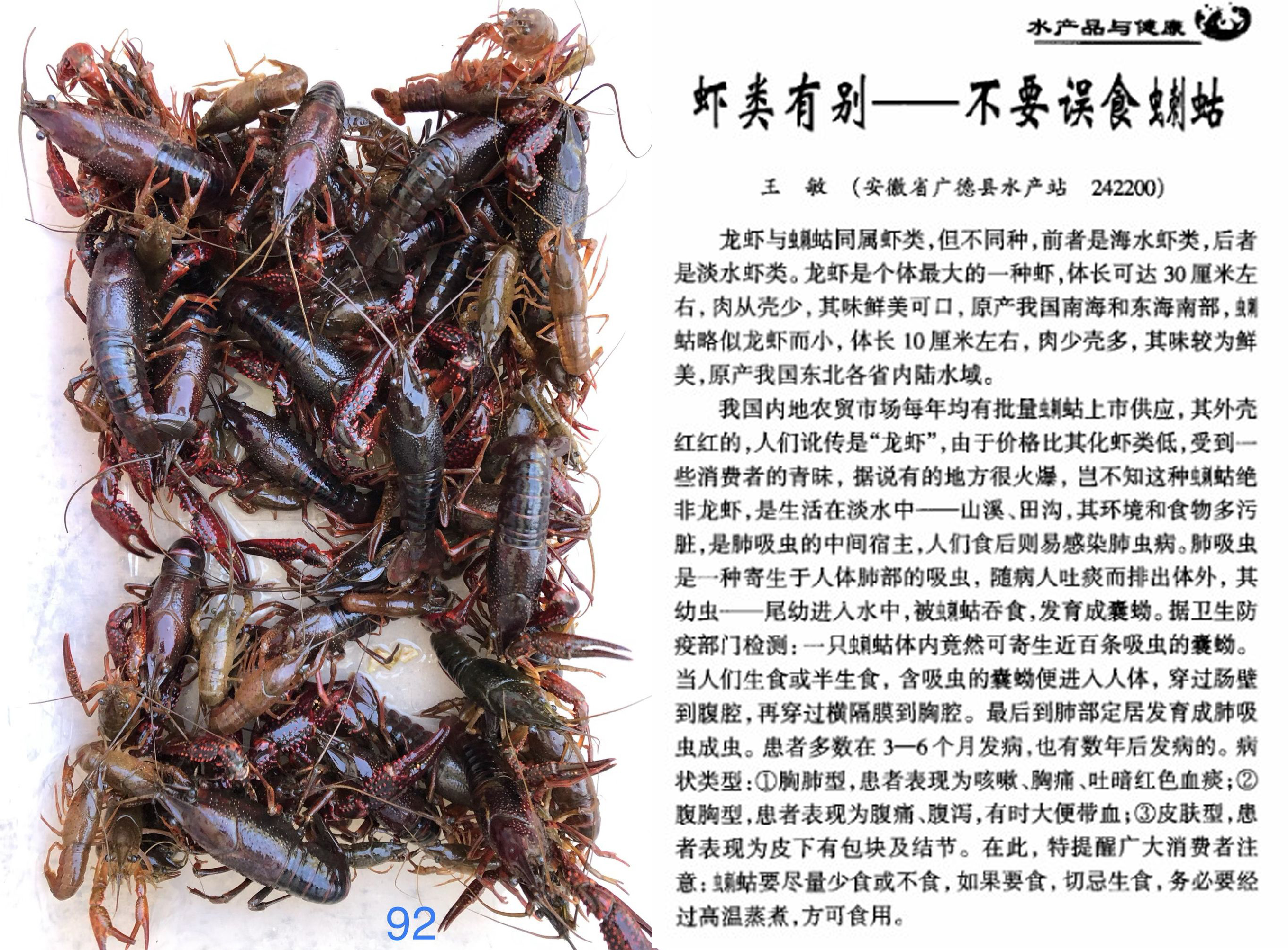 小龙虾是海鲜吗(餐桌物种全面正确认识小龙虾)