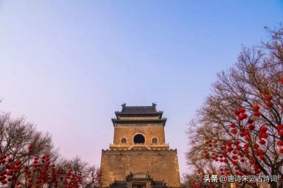 游园不值的意思(游园不值的意思全解)