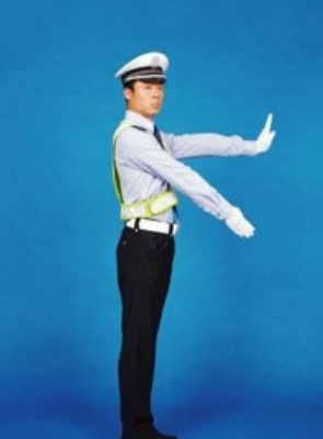 交警指挥手势图解,交警指挥手势动作中左手上举掌心向前表示什么图5