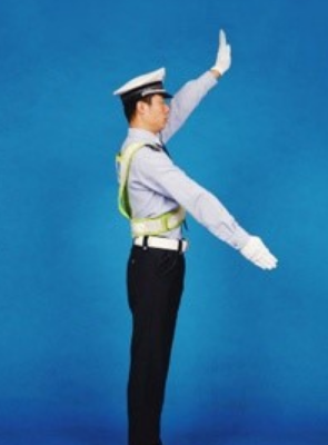 交警指挥手势图解,交警指挥手势动作中左手上举掌心向前表示什么图8