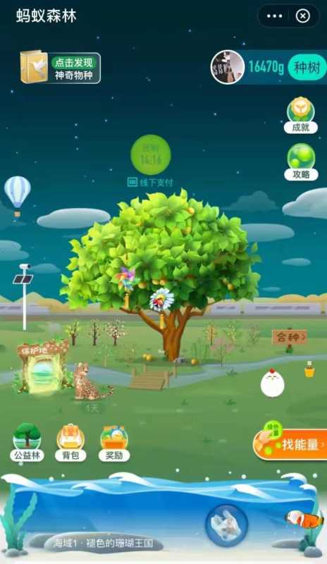 蚂蚁森林保护地(蚂蚁森林的“解题思路”) 蚂蚁森林保护地(蚂蚁森林的“解题思路”)