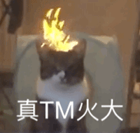 减龄适合所有脸型的发型(这4款发型女生剪了)(39)