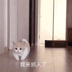 减龄适合所有脸型的发型(这4款发型女生剪了)(5)