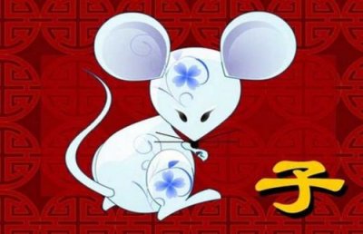 千军万马打一生肖最佳答案是什么?千军万马打一生肖是什么?