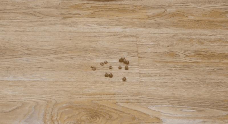 科沃斯地宝扫地机器人(科沃斯官方旗舰店官网)(25)