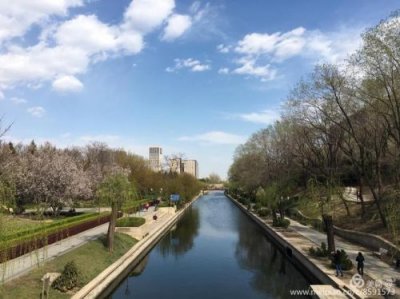 北滨河公园有停车场吗(北滨河公园乒乓球)