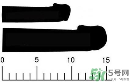 男人阴茎多长正常?男人阴茎增长的方法 男人阴茎多长正常?男人阴茎增长的方法